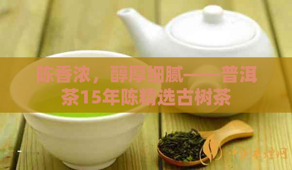 陈香浓，醇厚细腻——普洱茶15年陈精选古树茶