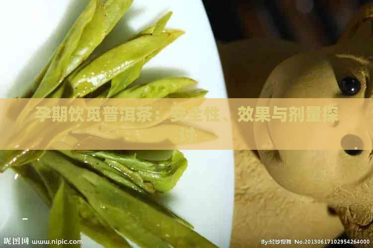 孕期饮觅普洱茶：安全性、效果与剂量探讨