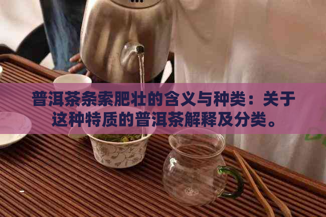 普洱茶条索肥壮的含义与种类：关于这种特质的普洱茶解释及分类。