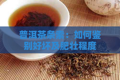 普洱茶条索：如何鉴别好坏及肥壮程度