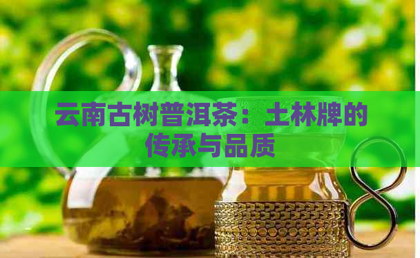 云南古树普洱茶：土林牌的传承与品质