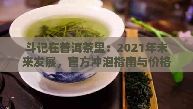 斗记在普洱茶里：2021年未来发展，官方冲泡指南与价格官网