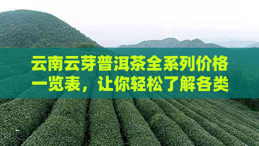 云南云芽普洱茶全系列价格一览表，让你轻松了解各类茶叶的价格及特点