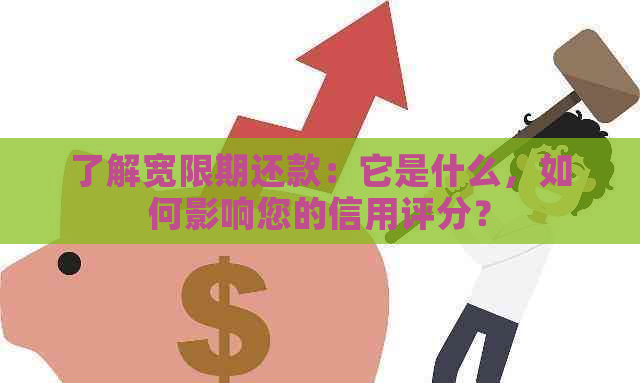 了解宽限期还款：它是什么，如何影响您的信用评分？