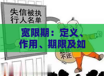 宽限期：定义、作用、期限及如何申请全面解答