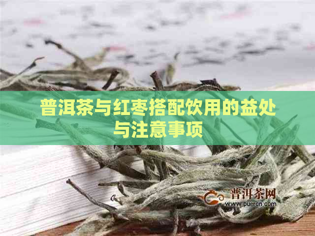 普洱茶与红枣搭配饮用的益处与注意事项