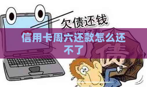 信用卡周六还款怎么还不了