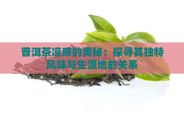 普洱茶凉感的奥秘：探寻其独特风味与生源地的关系