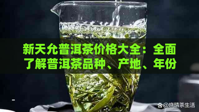 新天允普洱茶价格大全：全面了解普洱茶品种、产地、年份及市场行情