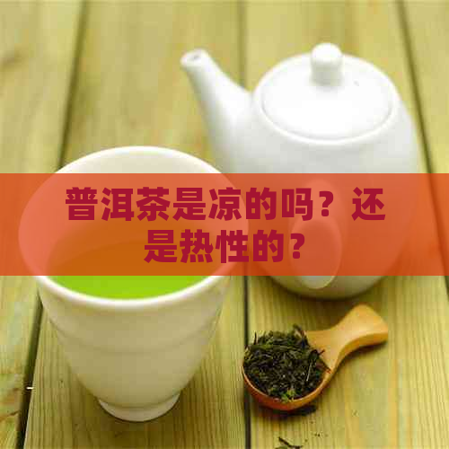 普洱茶是凉的吗？还是热性的？