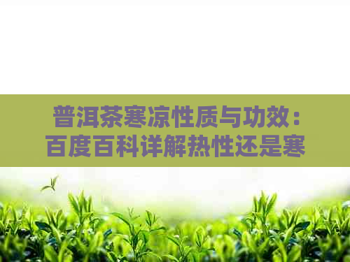 普洱茶寒凉性质与功效：百度百科详解热性还是寒性