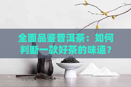 全面品鉴普洱茶：如何判断一款好茶的味道？