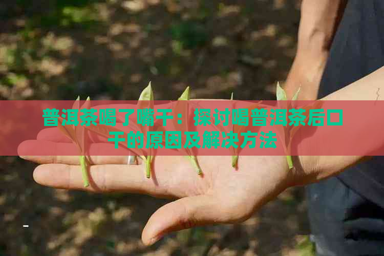 普洱茶喝了嘴干：探讨喝普洱茶后口干的原因及解决方法