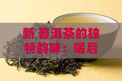 新 普洱茶的独特韵味：喝后的口干感与其陈化过程有关