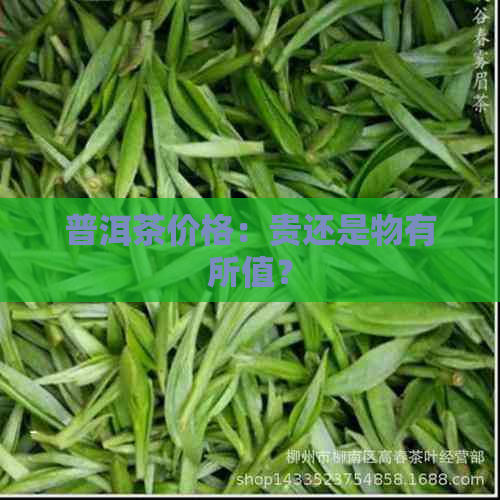 普洱茶价格：贵还是物有所值？