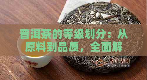 普洱茶的等级划分：从原料到品质，全面解析如何选择合适的普洱茶