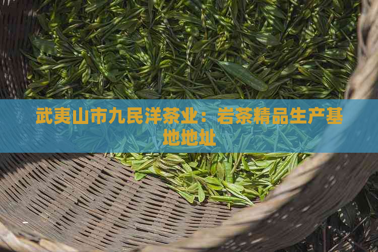 武夷山市九民洋茶业：岩茶精品生产基地地址