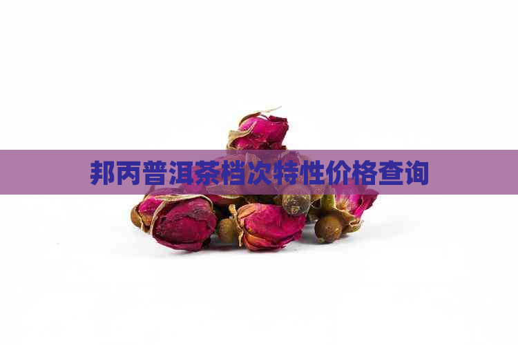 邦丙普洱茶档次特性价格查询