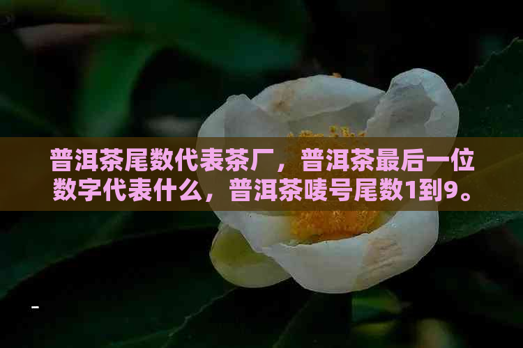 普洱茶尾数代表茶厂，普洱茶最后一位数字代表什么，普洱茶唛号尾数1到9。