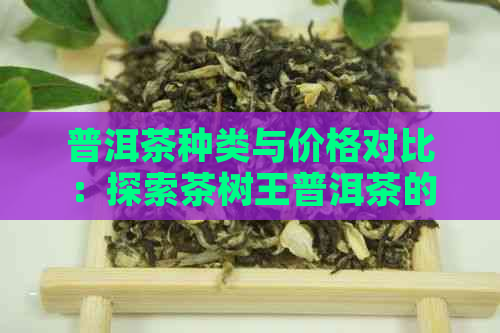 普洱茶种类与价格对比：探索茶树王普洱茶的市场价值与品质