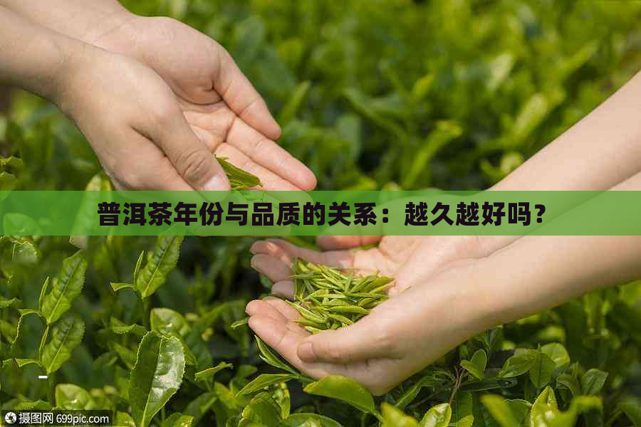 普洱茶年份与品质的关系：越久越好吗？