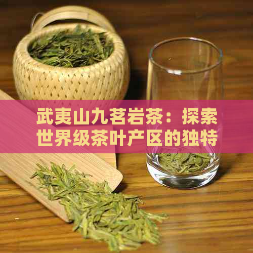 武夷山九茗岩茶：探索世界级茶叶产区的独特风味与品质