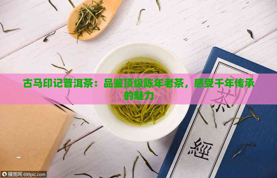 古马印记普洱茶：品鉴顶级陈年老茶，感受千年传承的魅力