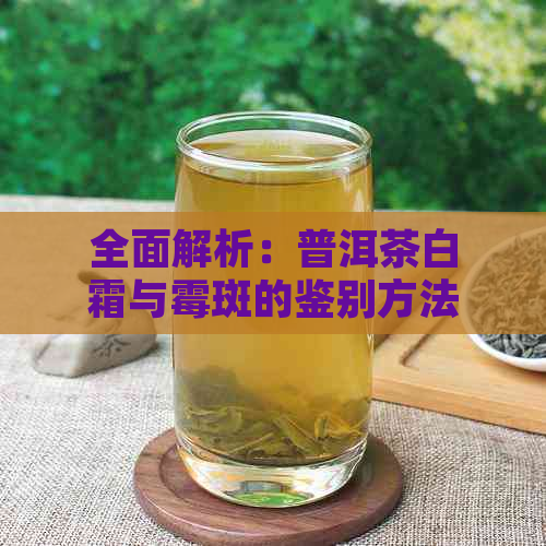 全面解析：普洱茶白霜与霉斑的鉴别方法，让你轻松分辨二者差异