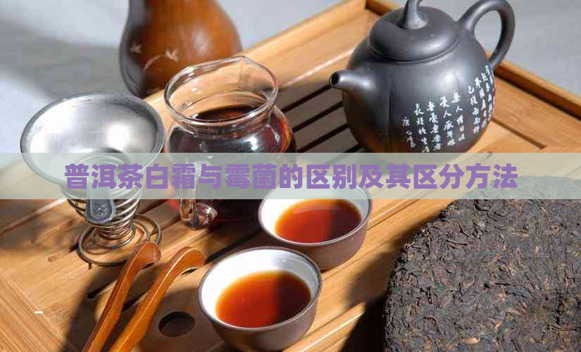 普洱茶白霜与霉菌的区别及其区分方法