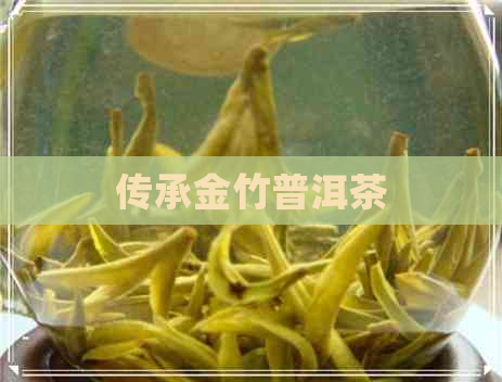 传承金竹普洱茶