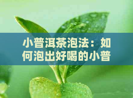 小普洱茶泡法：如何泡出好喝的小普洱茶