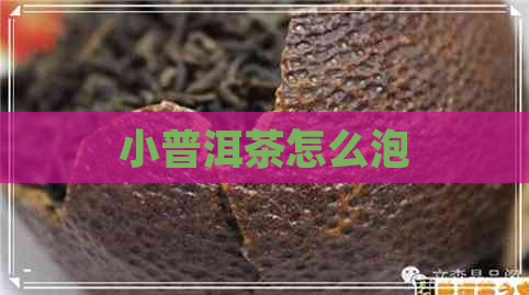 小普洱茶怎么泡