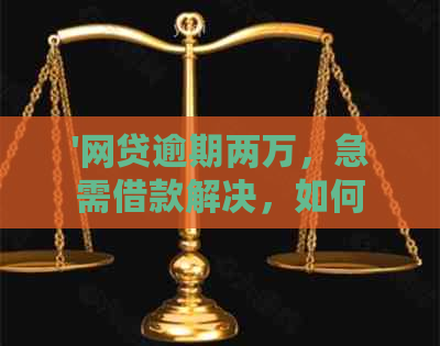 '网贷逾期两万，急需借款解决，如何操作？'