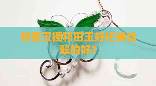 想买玉镯和田玉好还是翡翠的好？