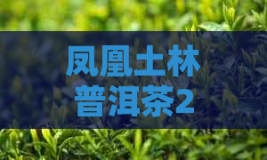 凤凰土林普洱茶2006年：南涧土林凤凰普洱茶官网704,事长。