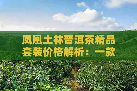 凤凰土林普洱茶精品套装价格解析：一款茶叶的文化与品质探索