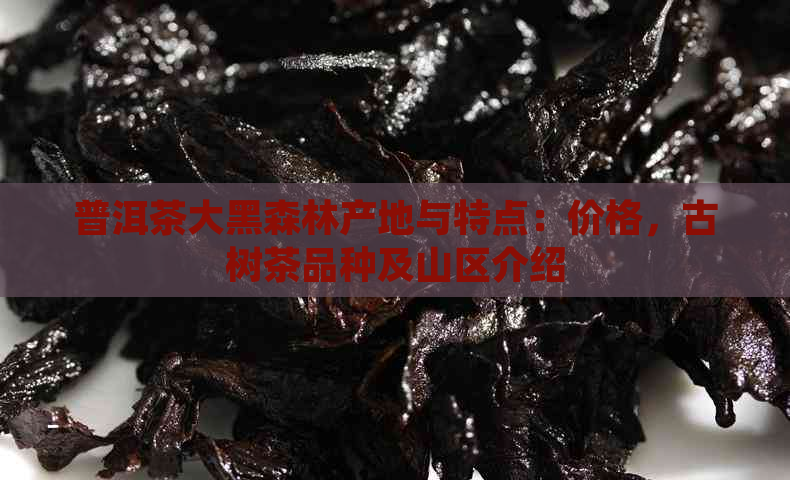 普洱茶大黑森林产地与特点：价格，古树茶品种及山区介绍