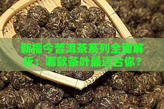 新福今普洱茶系列全面解析：哪款茶叶最适合你？