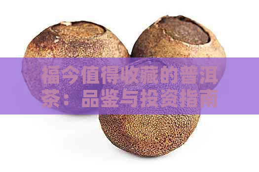 福今值得收藏的普洱茶：品鉴与投资指南