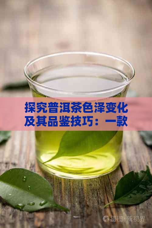 探究普洱茶色泽变化及其品鉴技巧：一款茶叶的多元魅力