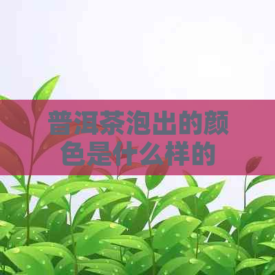 普洱茶泡出的颜色是什么样的？