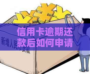 信用卡逾期还款后如何申请贷款：全面指南和解决方案