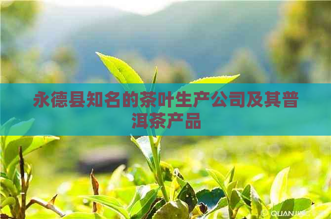 永德县知名的茶叶生产公司及其普洱茶产品