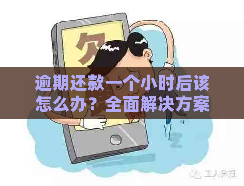 逾期还款一个小时后该怎么办？全面解决方案一览