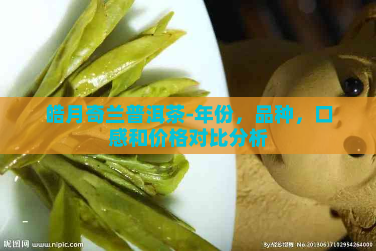 皓月奇兰普洱茶-年份，品种，口感和价格对比分析