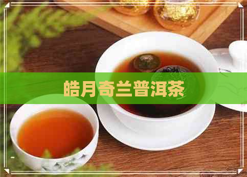 皓月奇兰普洱茶