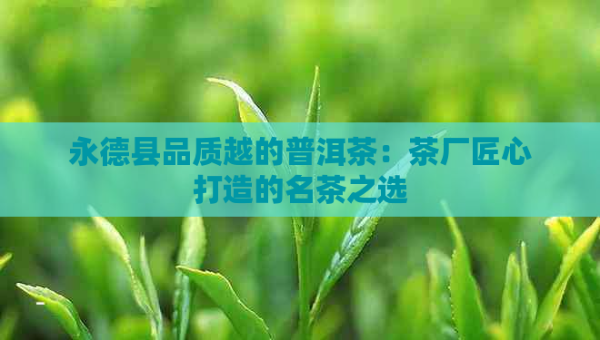 永德县品质越的普洱茶：茶厂匠心打造的名茶之选