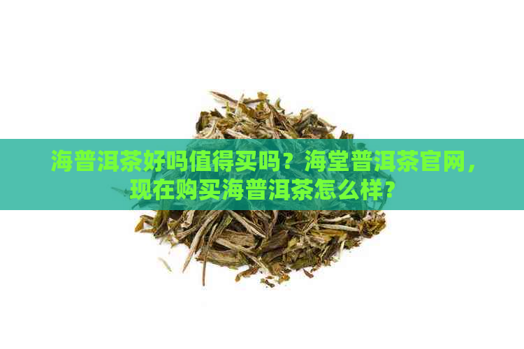 海普洱茶好吗值得买吗？海堂普洱茶官网，现在购买海普洱茶怎么样？