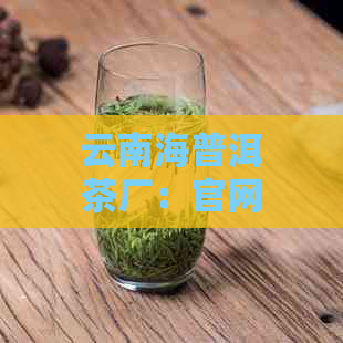 云南海普洱茶厂：官网，地址，评价，价格与产品详情