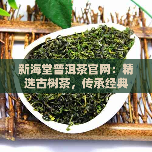 新海堂普洱茶官网：精选古树茶，传承经典口感与健价值